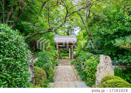 龍潭寺(りょうたんじ)山門 夏 静岡県浜松市 龍潭寺(りょうたんじ)山門 夏 静岡県浜松市 17161029