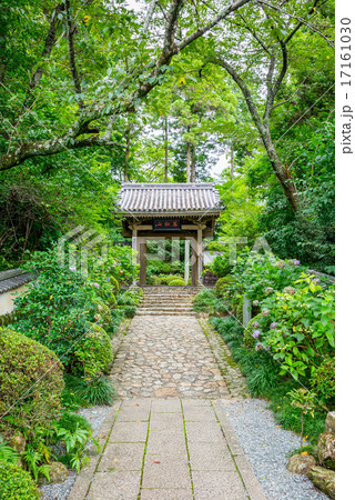龍潭寺(りょうたんじ)山門 夏 静岡県浜松市 龍潭寺(りょうたんじ)山門 夏 静岡県浜松市 17161030