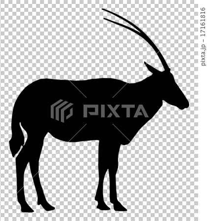 Orix's silhouette 041 17161816