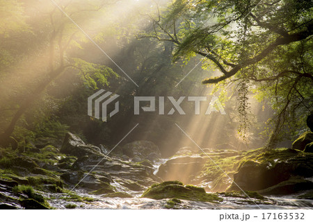 菊池渓谷の光芒 17163532