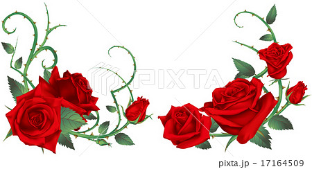 バラ 赤 装飾のイラスト素材 17164509 Pixta