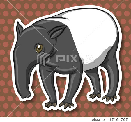 Anteater Anteater 17164707