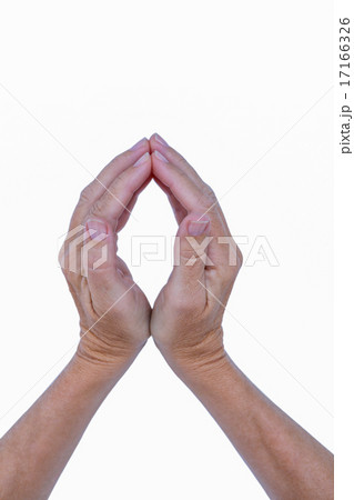Close up view of hand 17166326