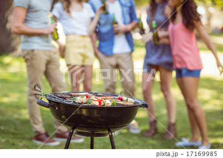 Happy friends in the park having barbecue 17169985