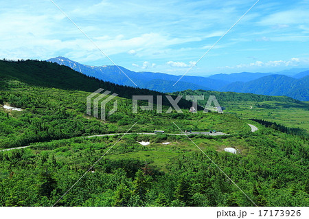 立山の弥陀ヶ原高原 17173926