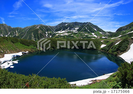 夏のみくりが池 17175066