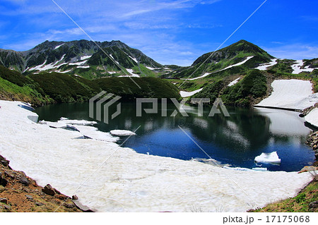 夏のみくりが池 17175068