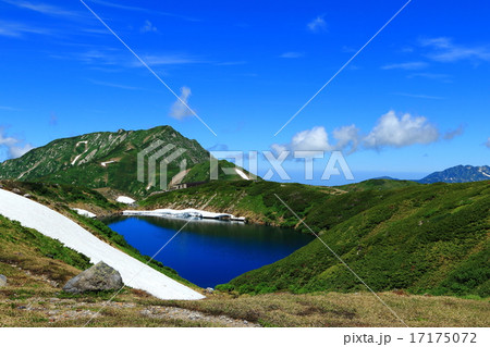 夏のみくりが池 17175072