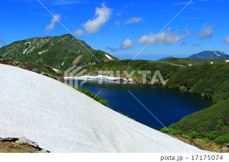 夏のみくりが池 17175074