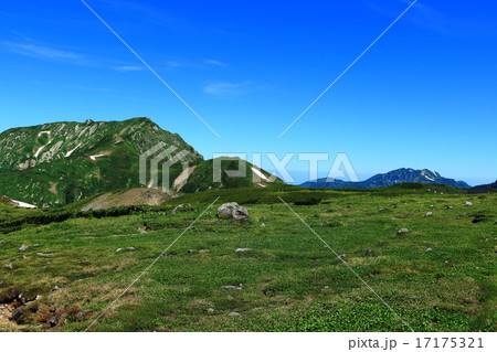 立山連邦の眺望 17175321