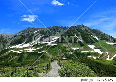 立山連峰の眺望 17175325