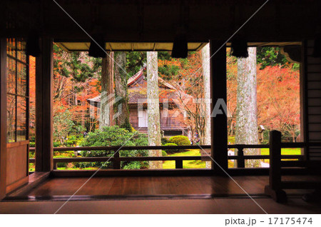 秋の三千院 17175474