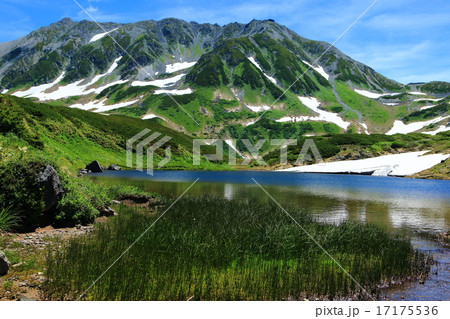 みどりケ池と立山連峰 17175536