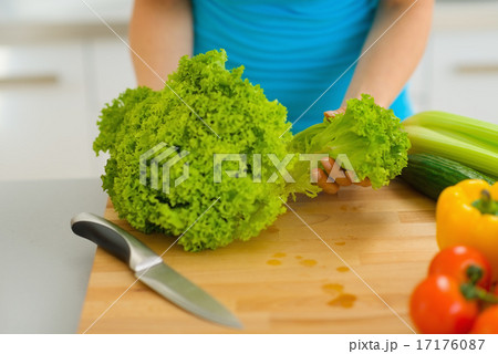 Closeup on woman tearing green salad on cutting board Closeup on woman tearing green salad on cutting board 17176087