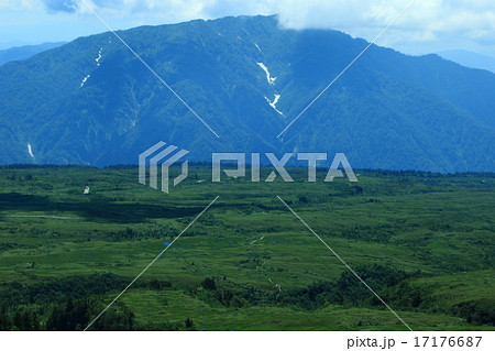 弥陀ヶ原高原 弥陀ヶ原高原 17176687