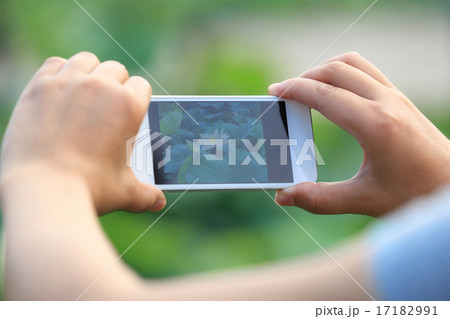 woman hands taking photo with smartphone 17182991
