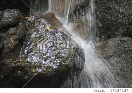 白糸の滝 白糸の滝 17184186