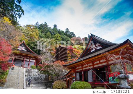紅葉の談山神社 17185221