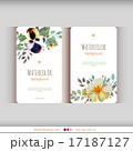 Abstract watercolor cards. Watercolor flowers. 17187127