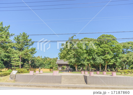 夏の上総国分寺の西門跡 17187860