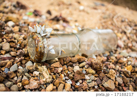 Shellfish On A Bottle Shellfish On A Bottle 17188217