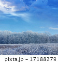 winter forest among snow fields landscape 17188279