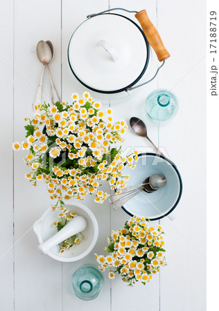 cottage living decor 17188719