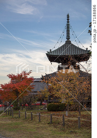 清凉寺多宝塔と境内の紅葉 清凉寺多宝塔と境内の紅葉 17188866