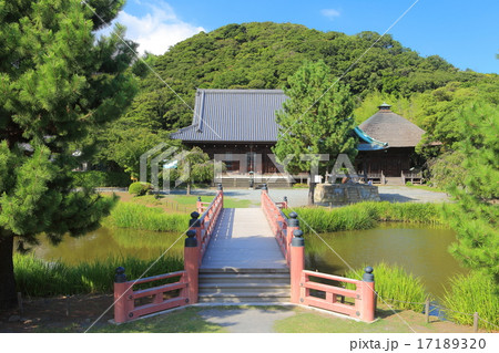 称名寺 17189320