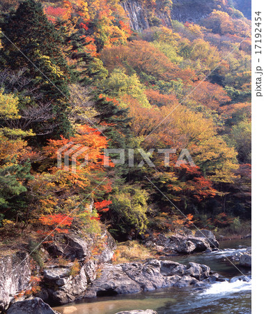 香落渓(こおちだに)の紅葉 、青蓮寺川上流/ 小太郎岩付近/「日本百景」「室生赤目青山国定公園」 香落渓(こおちだに)の紅葉 、青蓮寺川上流/ 小太郎岩付近/「日本百景」「室生赤目青山国定公園」 17192454