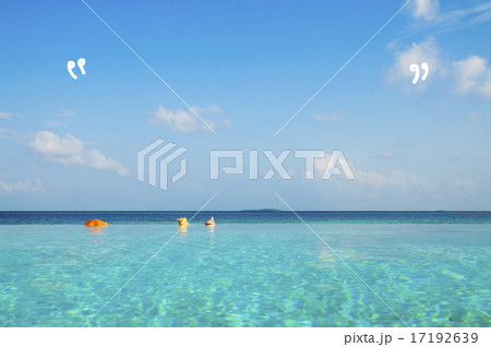Infinity Pool in Maldives 17192639