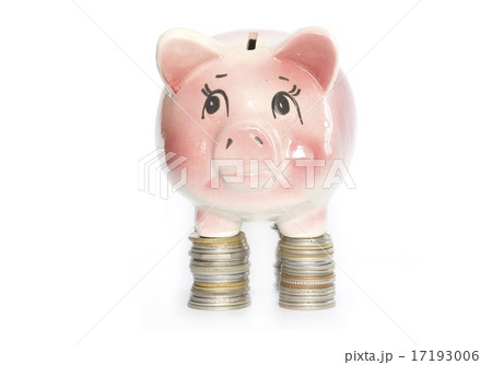 pink piggy bank pink piggy bank 17193006