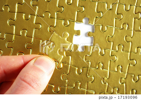 puzzle 17193096