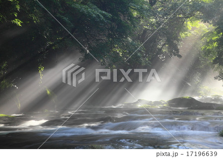 光さす渓流 17196639