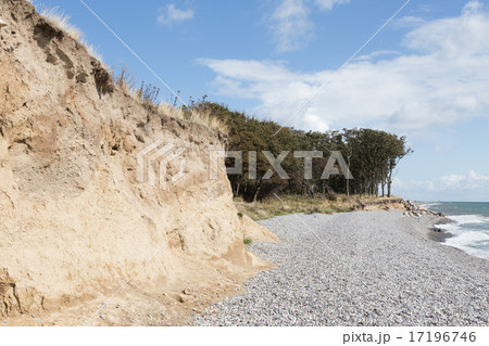 Cliff and forest Cliff and forest 17196746