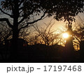 夕の神社 17197468