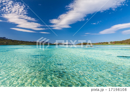 Paradise beach of Lofoten 17198108