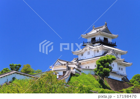 7月静岡 掛川城・天守閣 17198470
