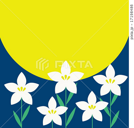 桔梗 17198486