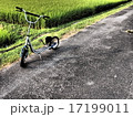 キックスクーターと水田 17199011