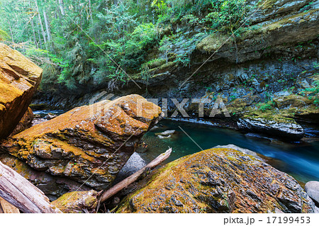 Creek in forest 17199453