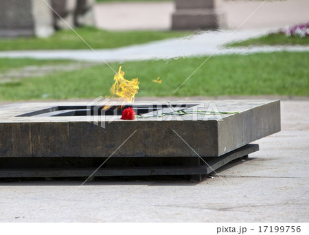 St. Petersburg. Field of Mars. Eternal flame 17199756
