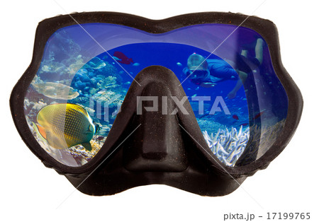 Underwater landscape is reflected in mask glasses Underwater landscape is reflected in mask glasses 17199765