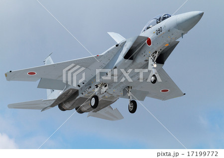 着陸するF-15DJ 着陸するF-15DJ 17199772