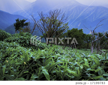 剣山 剣山 17199783