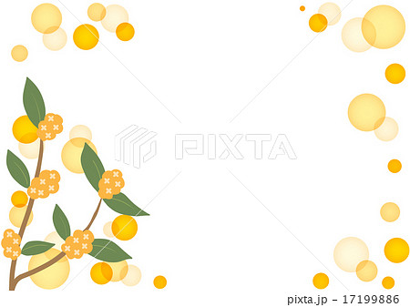 キンモクセイの花と水玉のフレームのイラスト素材