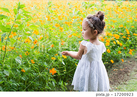 花畑で遊ぶ女の子の写真素材