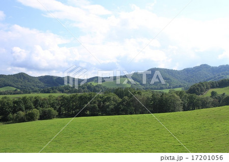 北海道の牧場風景（八千代牧場） 17201056