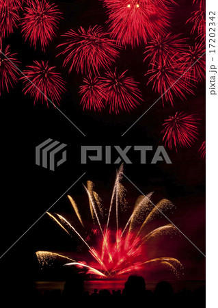 和風花火 17202342