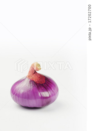 Red Onion Red Onion 17202700